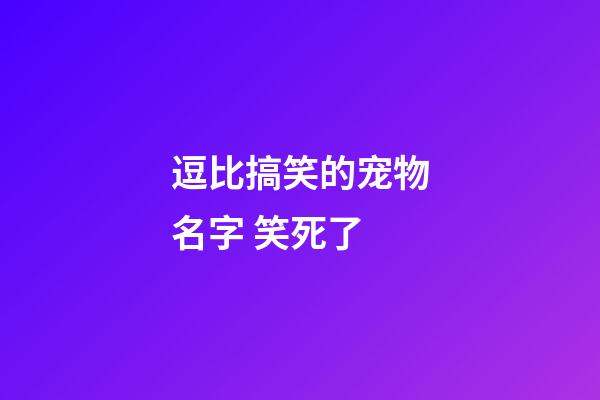 逗比搞笑的宠物名字 笑死了